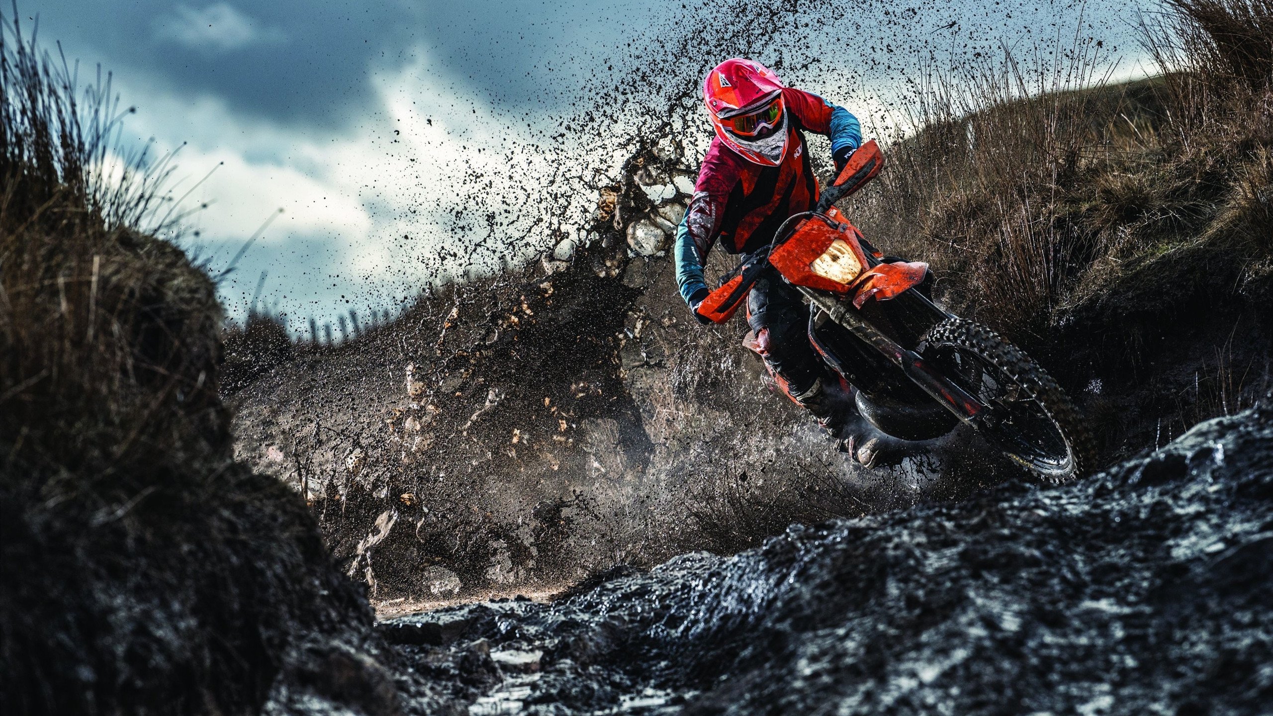 球迷狂欢夜:球场变成了欢乐的海洋,球迷疯狂庆祝照片